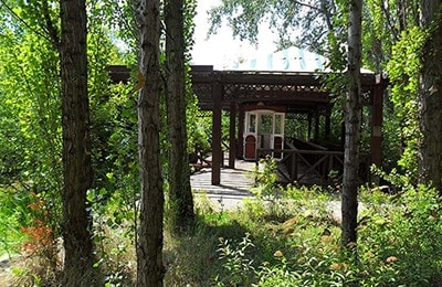 Spreepark blick durch den Plänterwald